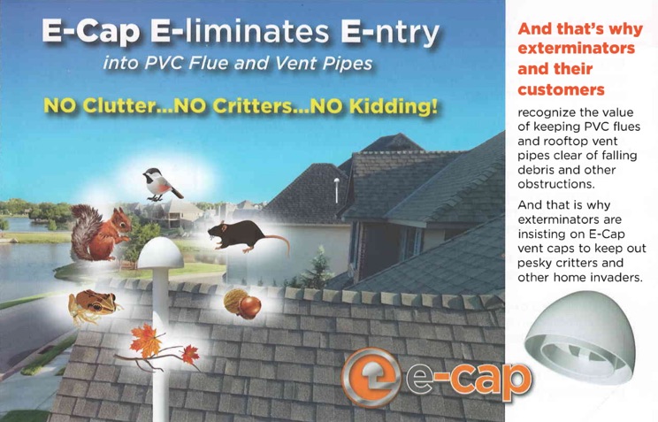 e-cap_header